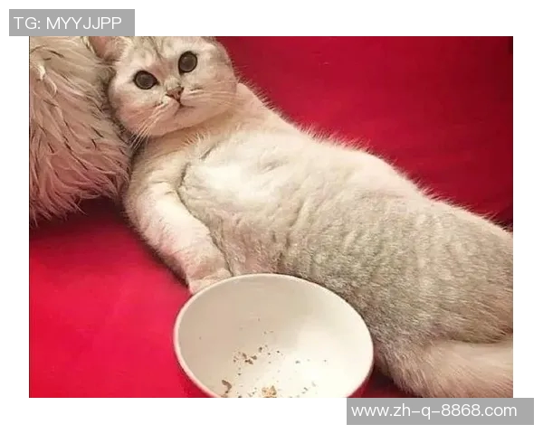 足球场上的奇葩动作大集锦:笑翻全场的那些搞笑瞬间 足球场上的奇葩动作大集锦:笑翻全场的那些搞笑瞬间